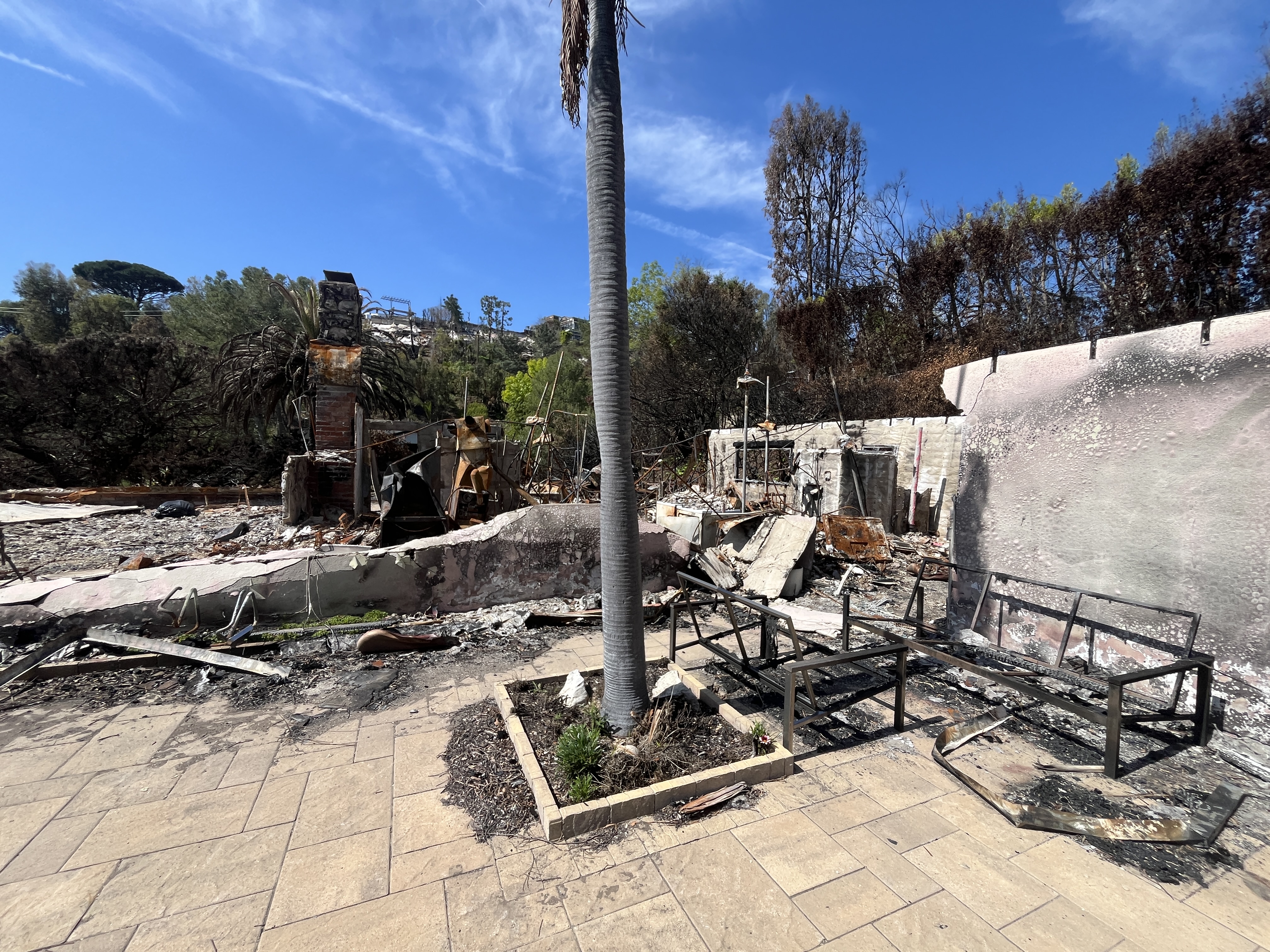 Pacific Palisades Fire Rebuild Detail 1