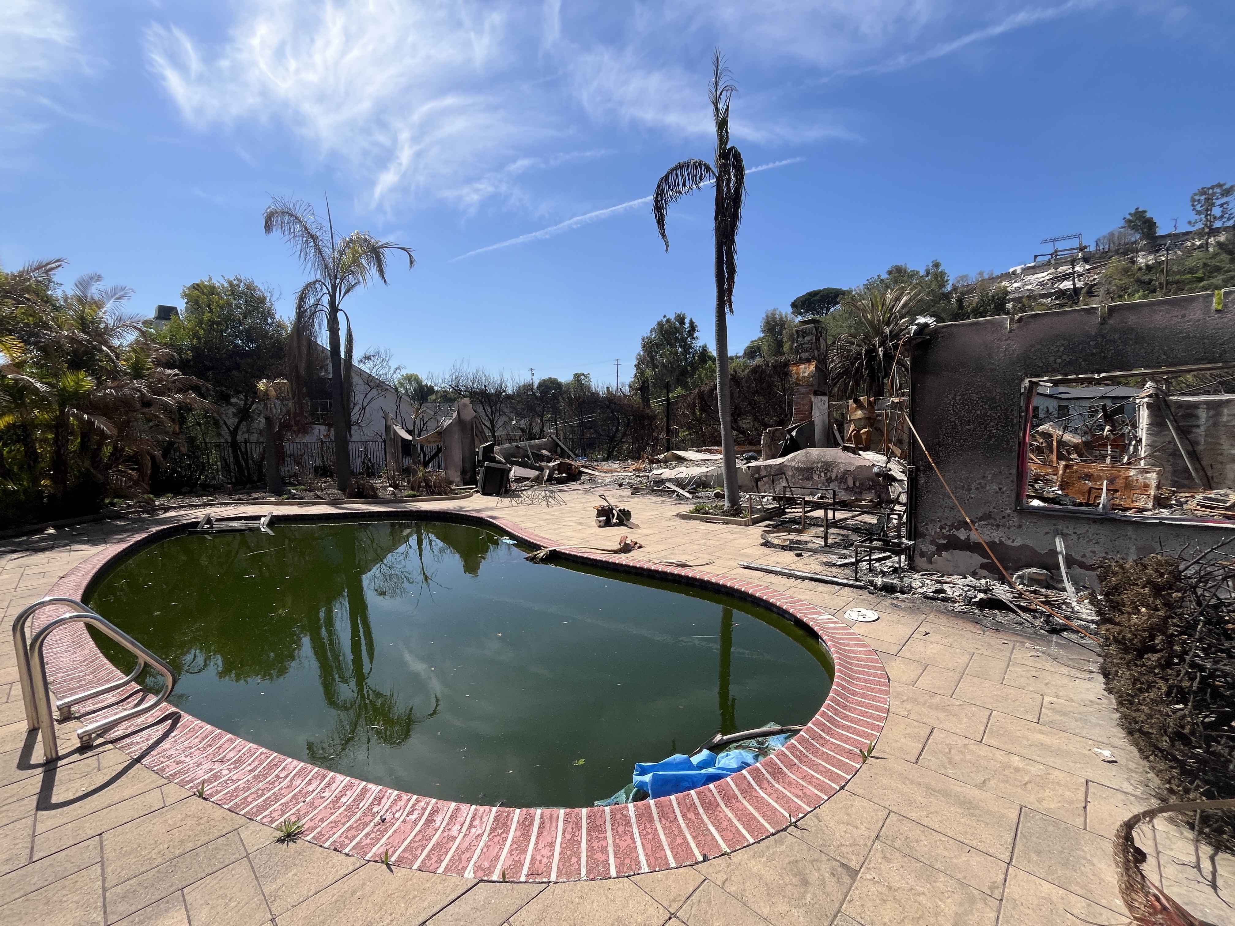 Pacific Palisades Fire Rebuild Detail 2